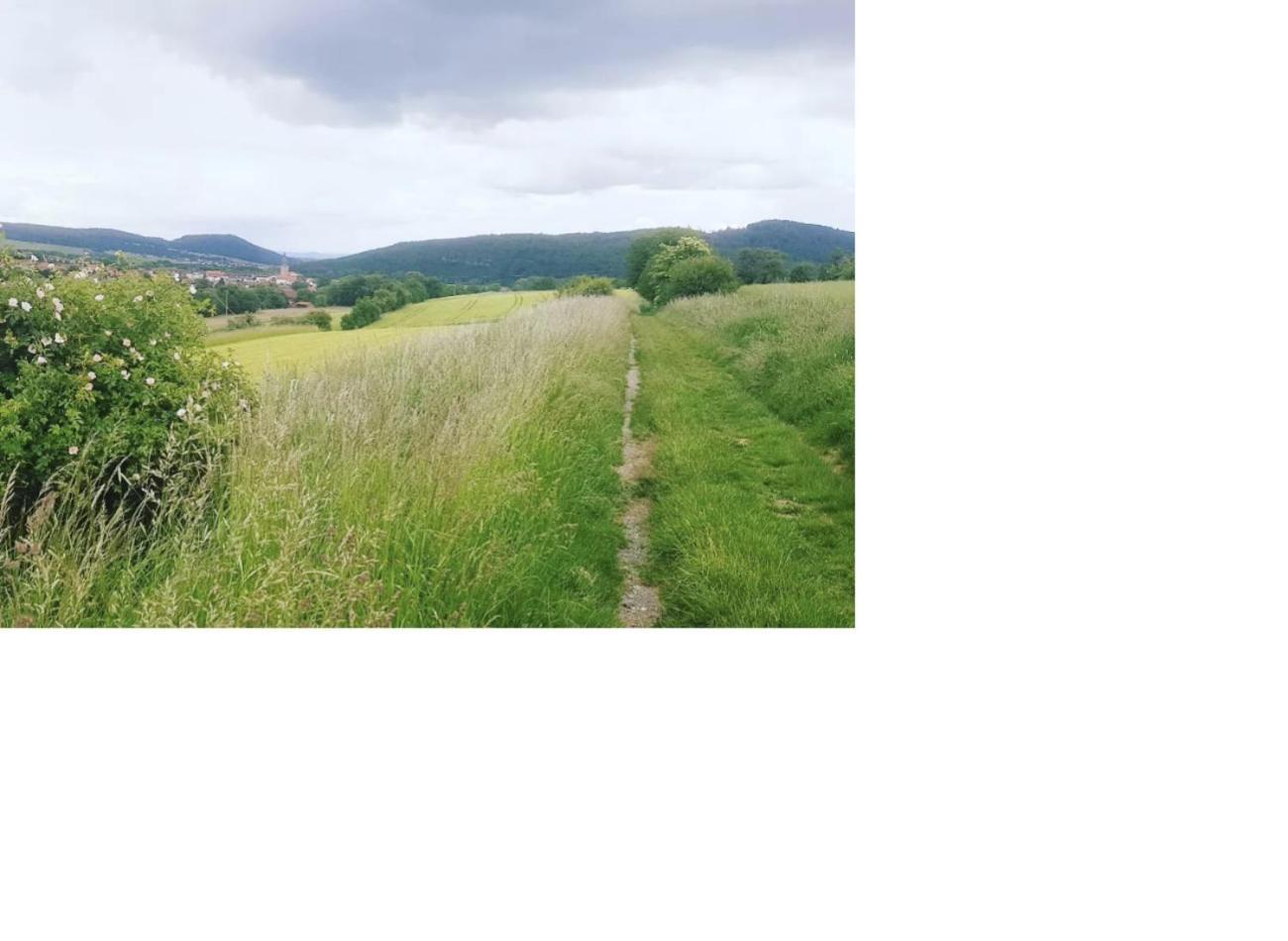 Aussergewoehnliche Auszeit - Metime1 Felsberg